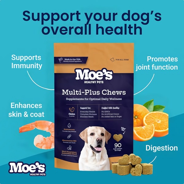 A clear, educational-style ad that positions the product at the center of a wellness ecosystem, using arrows to connect specific health benefits to the supplement.